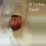 A Turkey Cock!.jpg